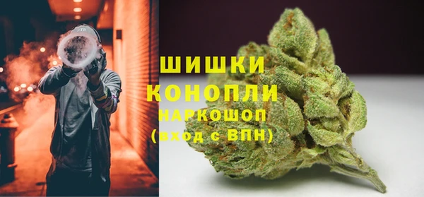 шишки Балахна