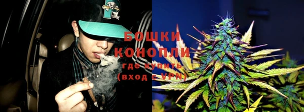 шишки Балахна